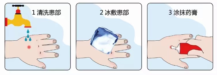 (转)警惕红火蚁!这些知识你一定要知道!