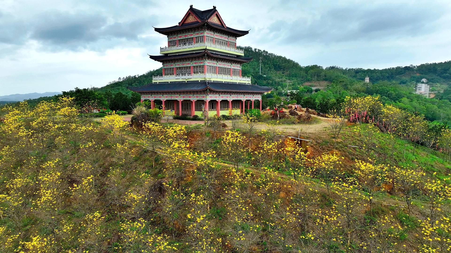 大垌山图片